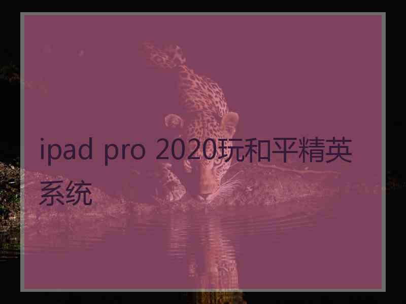 ipad pro 2020玩和平精英系统