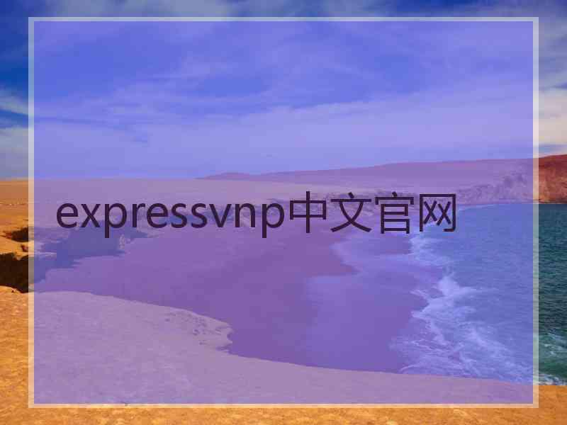 expressvnp中文官网