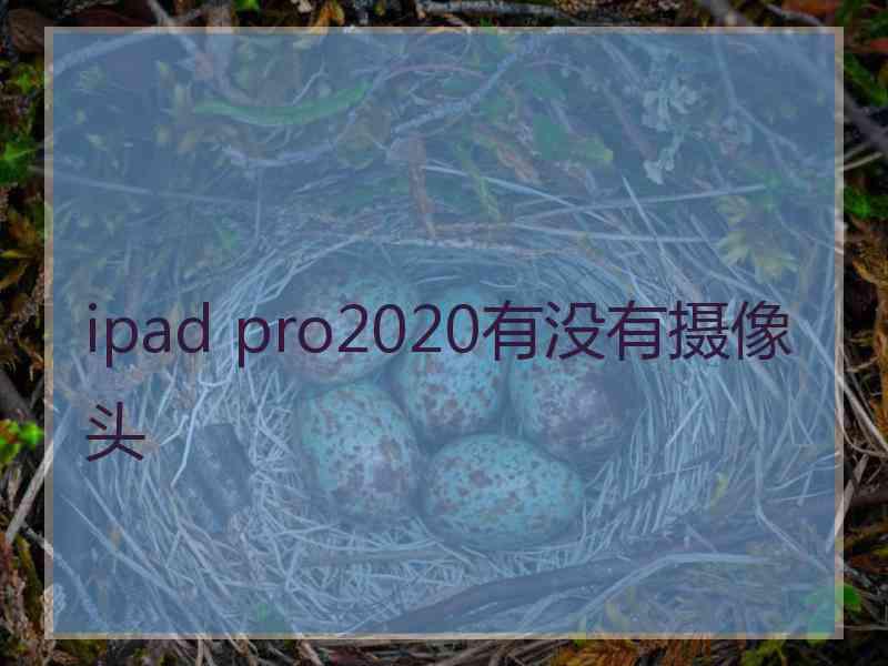 ipad pro2020有没有摄像头