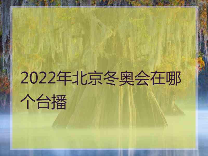 2022年北京冬奥会在哪个台播