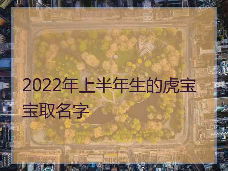 2022年上半年生的虎宝宝取名字