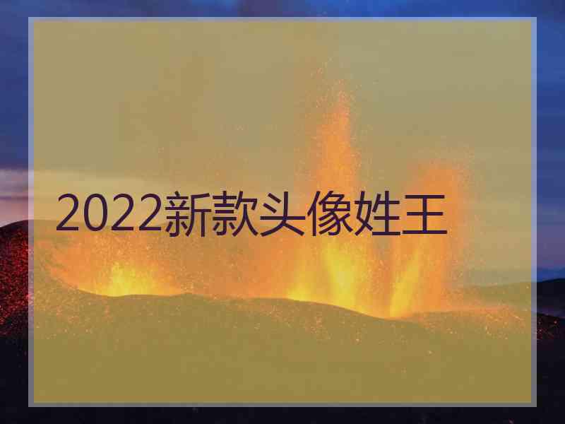 2022新款头像姓王