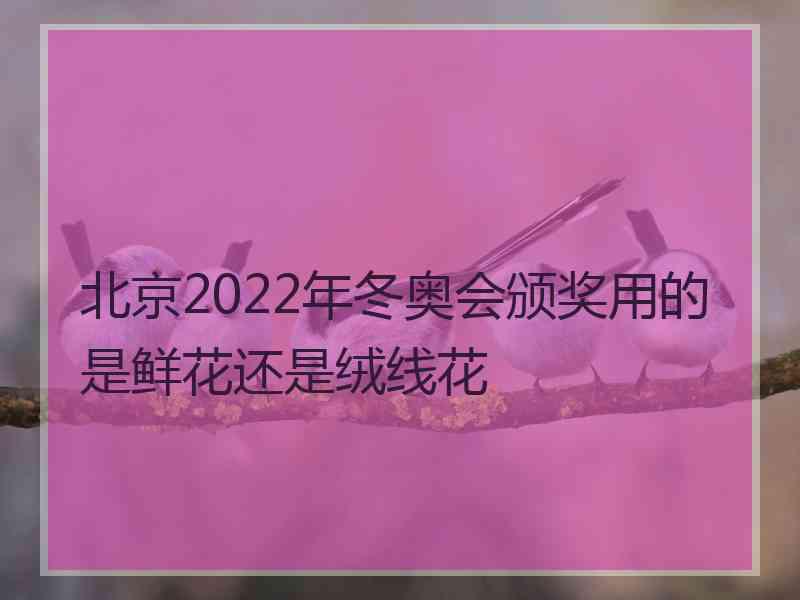 北京2022年冬奥会颁奖用的是鲜花还是绒线花