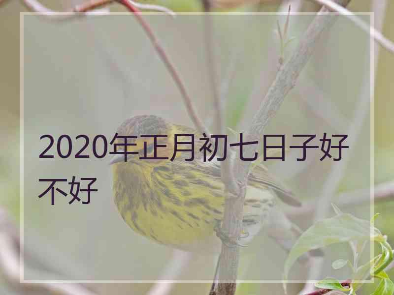 2020年正月初七日子好不好