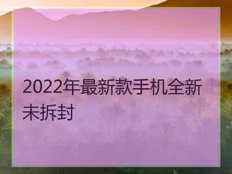 2022年最新款手机全新未拆封