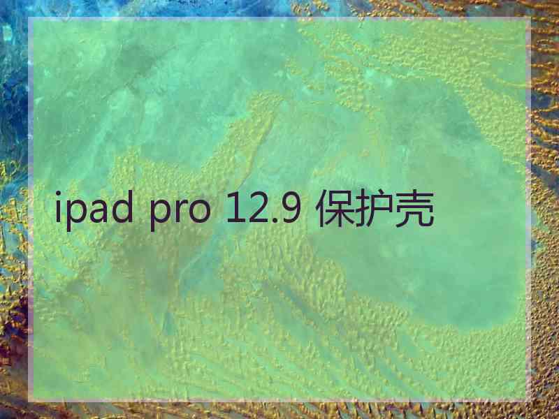 ipad pro 12.9 保护壳