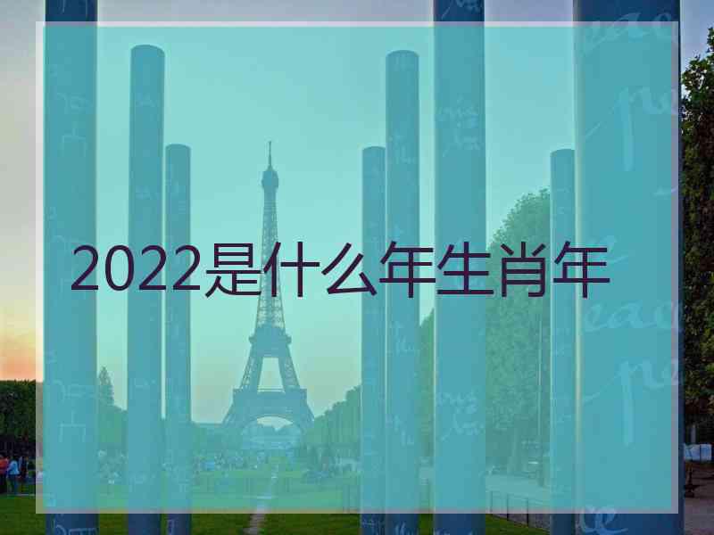 2022是什么年生肖年