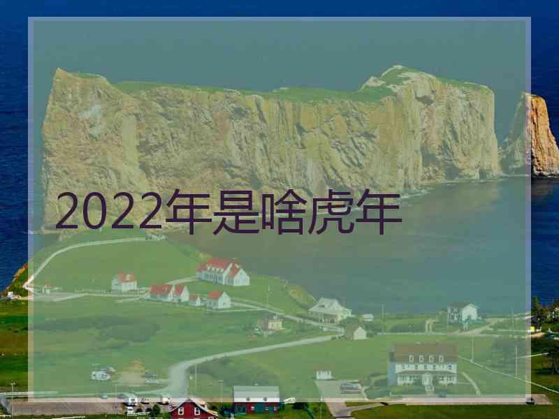 2022年是啥虎年