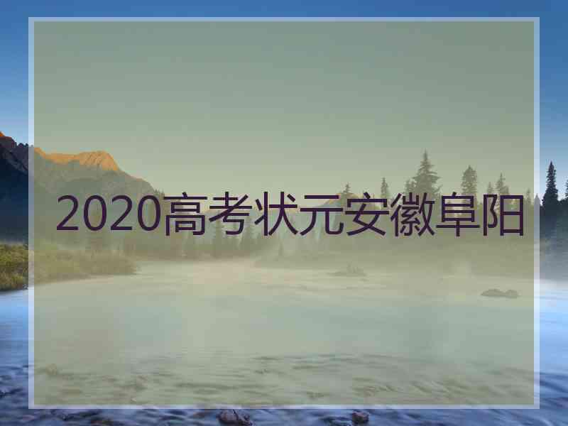 2020高考状元安徽阜阳