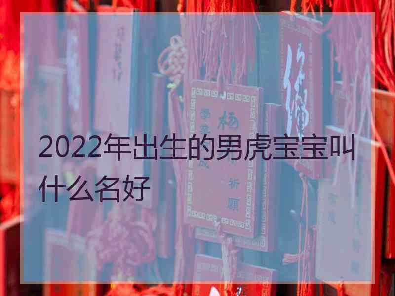 2022年出生的男虎宝宝叫什么名好