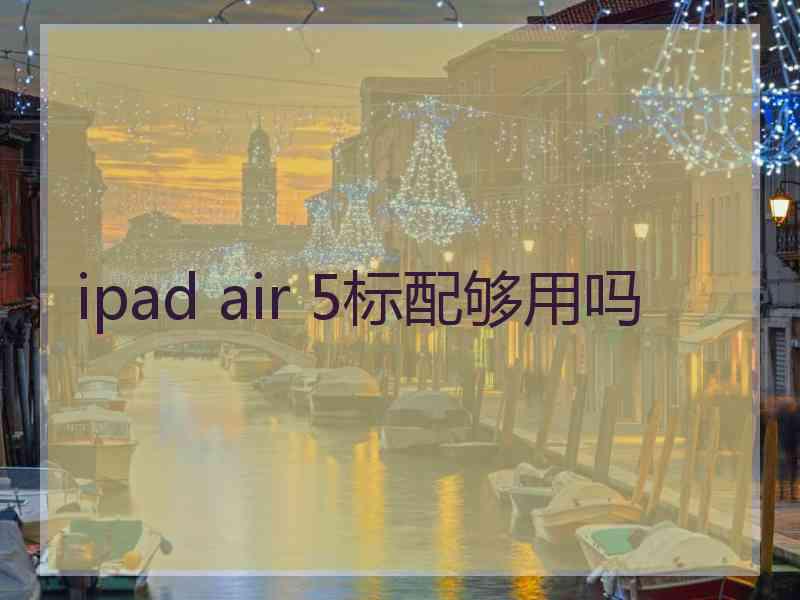 ipad air 5标配够用吗