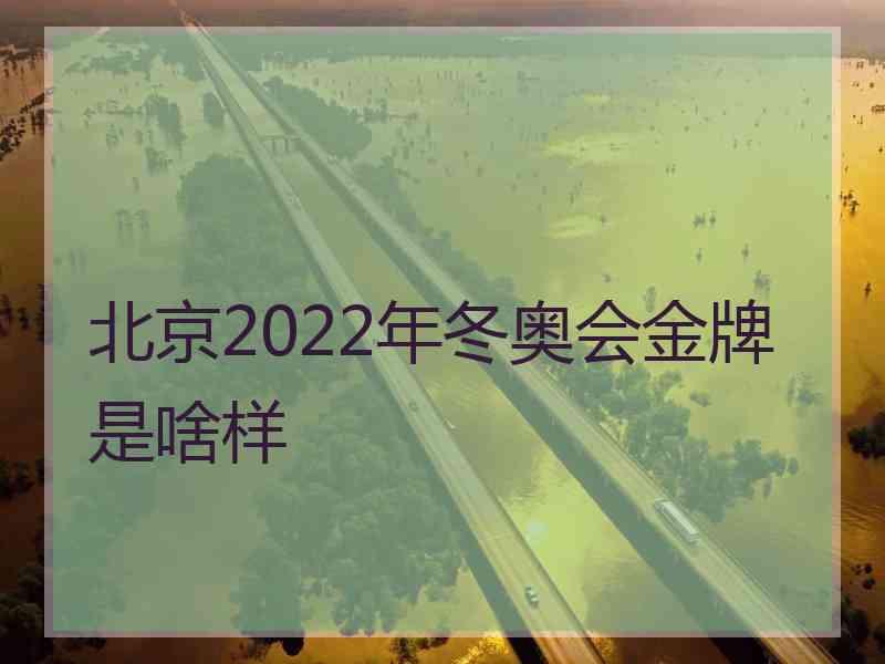 北京2022年冬奥会金牌是啥样