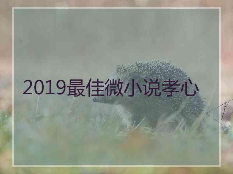 2019最佳微小说孝心