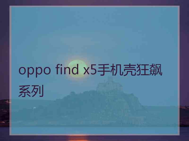 oppo find x5手机壳狂飙系列