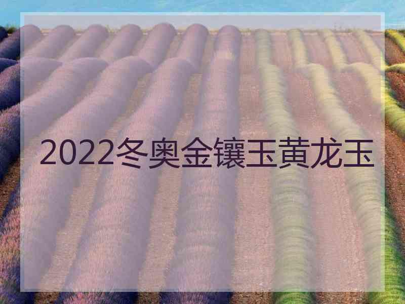 2022冬奥金镶玉黄龙玉