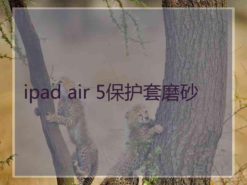 ipad air 5保护套磨砂