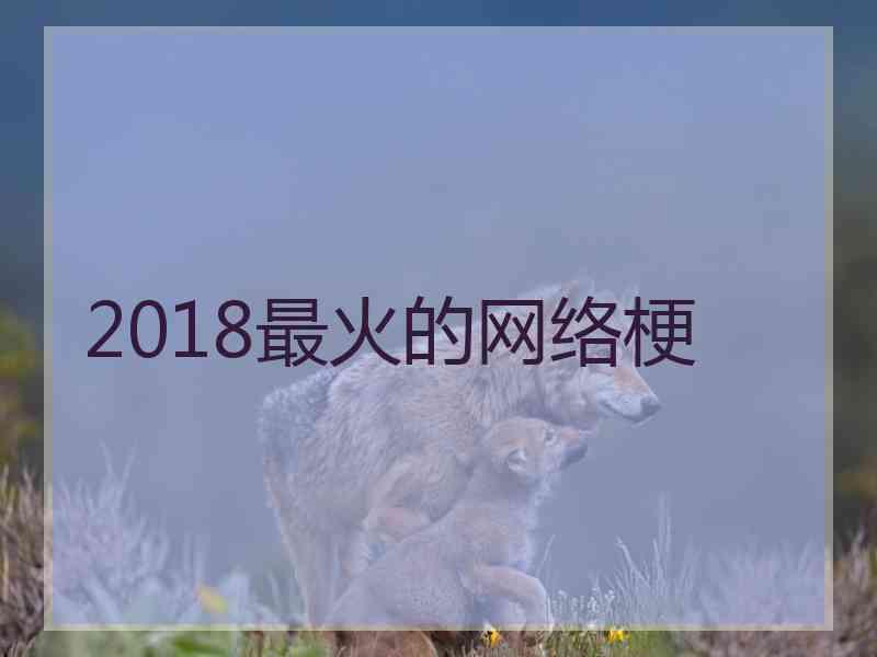 2018最火的网络梗