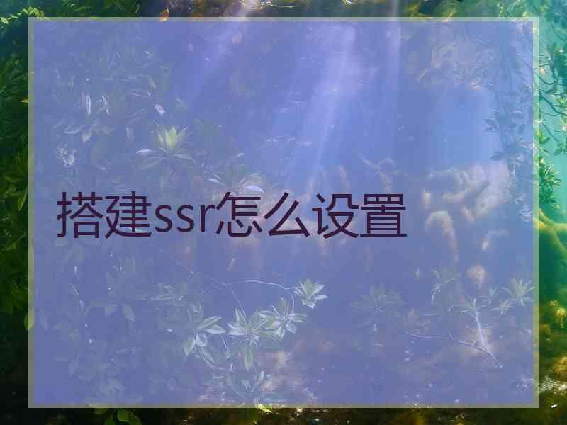 搭建ssr怎么设置