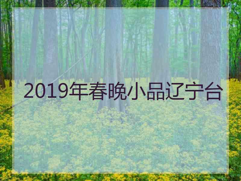 2019年春晚小品辽宁台