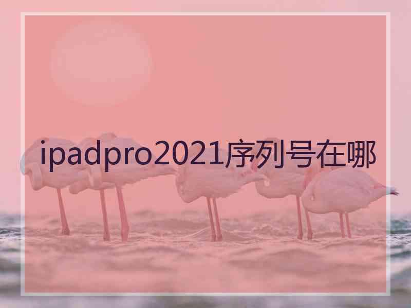 ipadpro2021序列号在哪