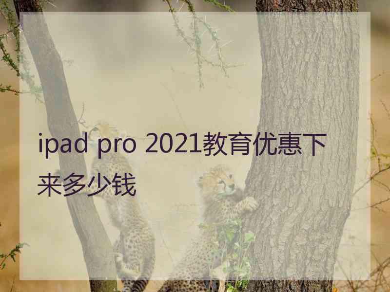 ipad pro 2021教育优惠下来多少钱