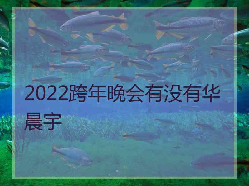 2022跨年晚会有没有华晨宇