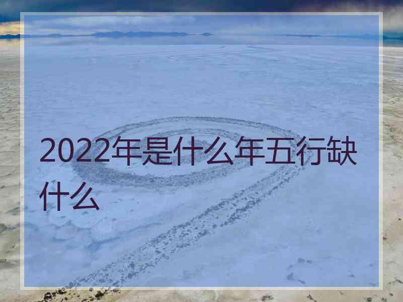 2022年是什么年五行缺什么