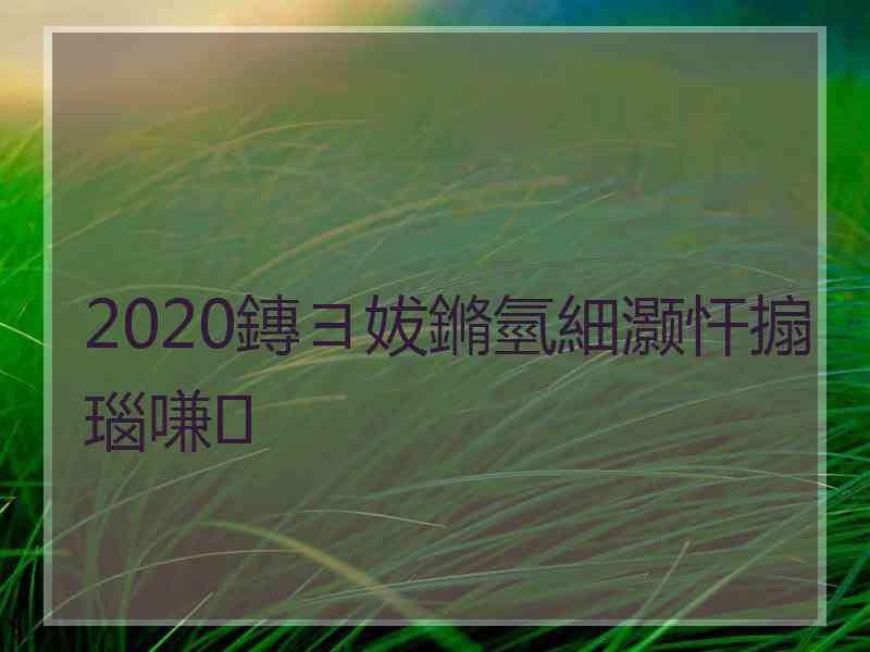 2020鏄ヨ妭鏅氫細灏忓搧瑙嗛