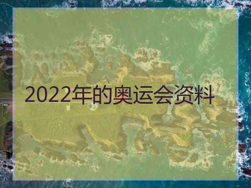 2022年的奥运会资料