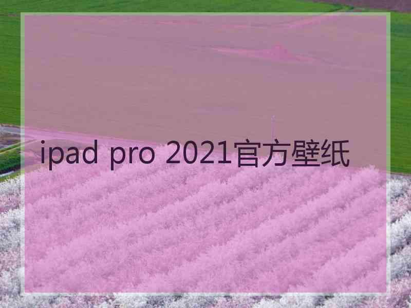 ipad pro 2021官方壁纸