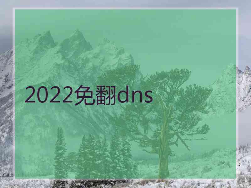 2022免翻dns