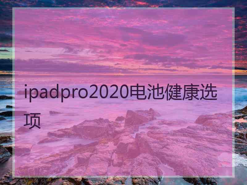 ipadpro2020电池健康选项