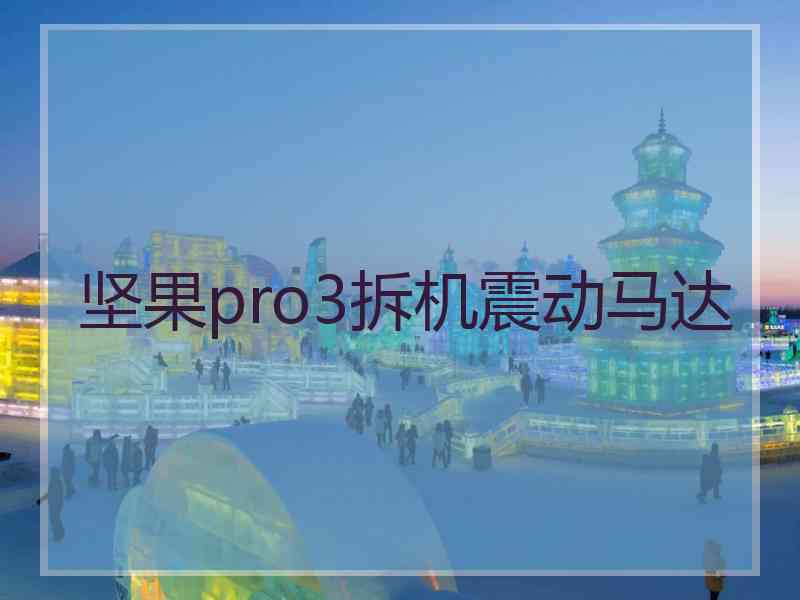 坚果pro3拆机震动马达