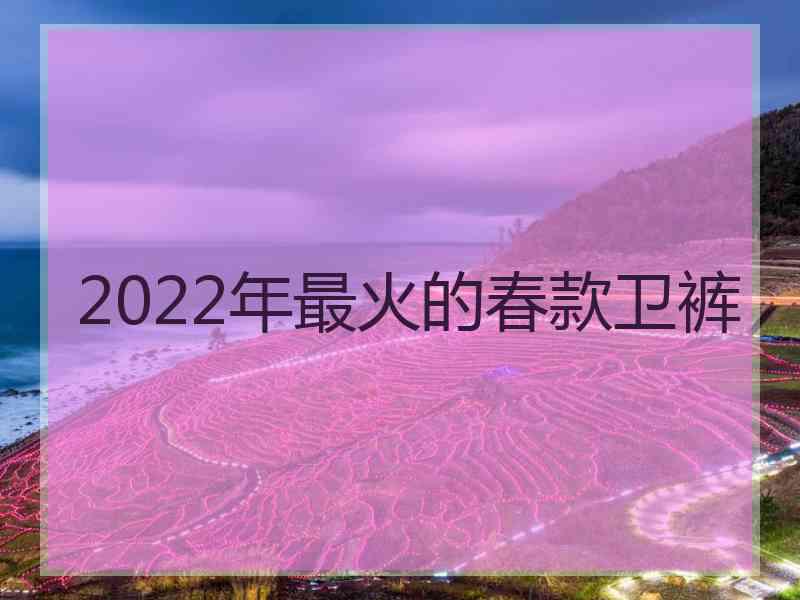 2022年最火的春款卫裤