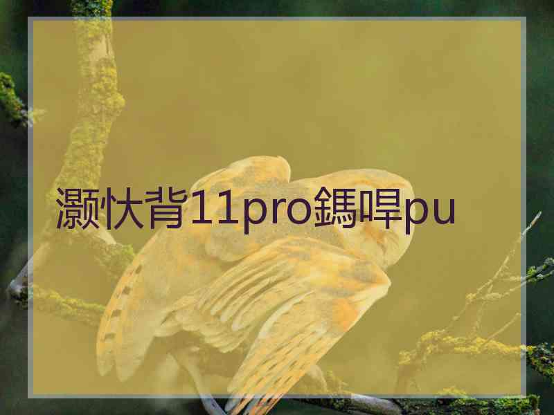 灏忕背11pro鎷哻pu