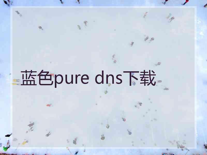 蓝色pure dns下载