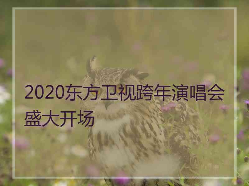 2020东方卫视跨年演唱会盛大开场