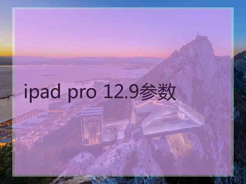 ipad pro 12.9参数