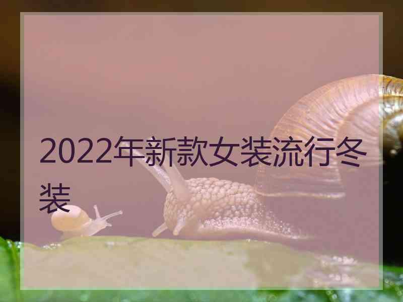 2022年新款女装流行冬装