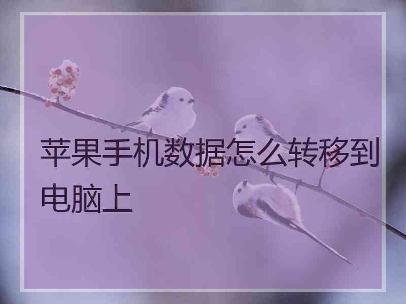 苹果手机数据怎么转移到电脑上