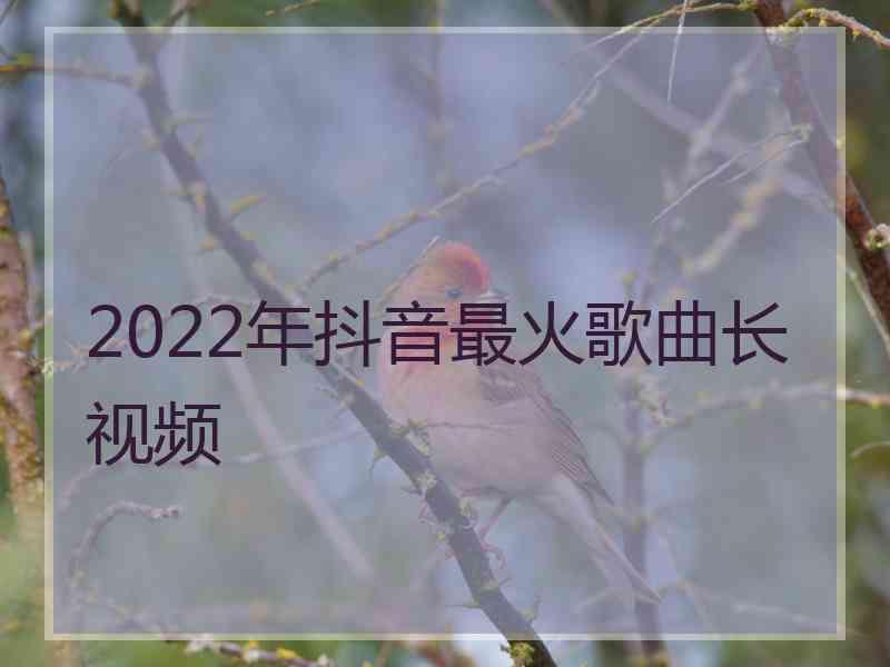 2022年抖音最火歌曲长视频