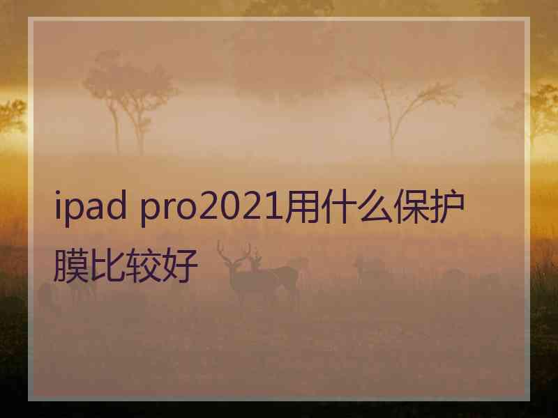 ipad pro2021用什么保护膜比较好