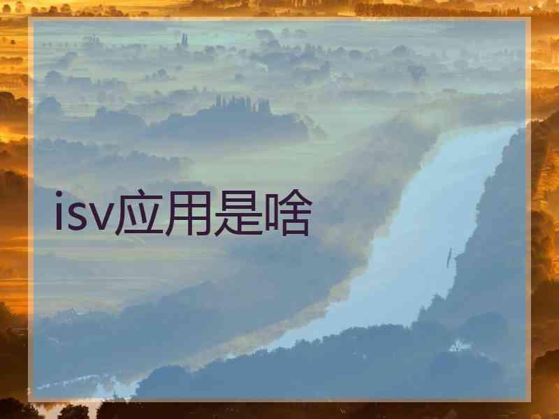 isv应用是啥