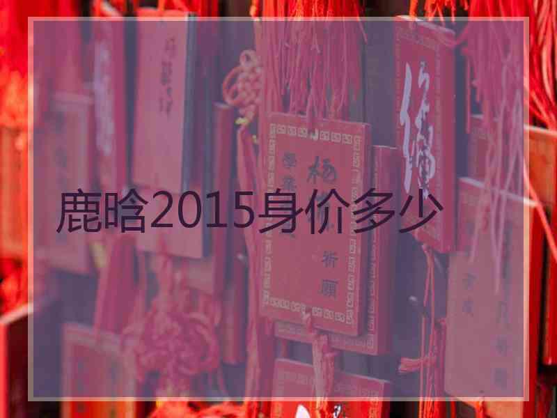 鹿晗2015身价多少