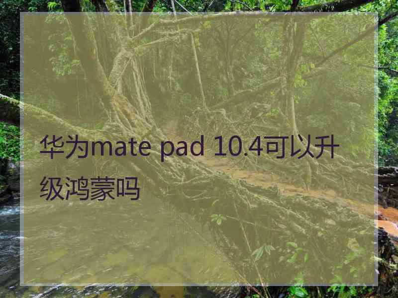 华为mate pad 10.4可以升级鸿蒙吗