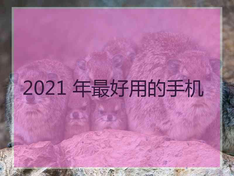 2021 年最好用的手机