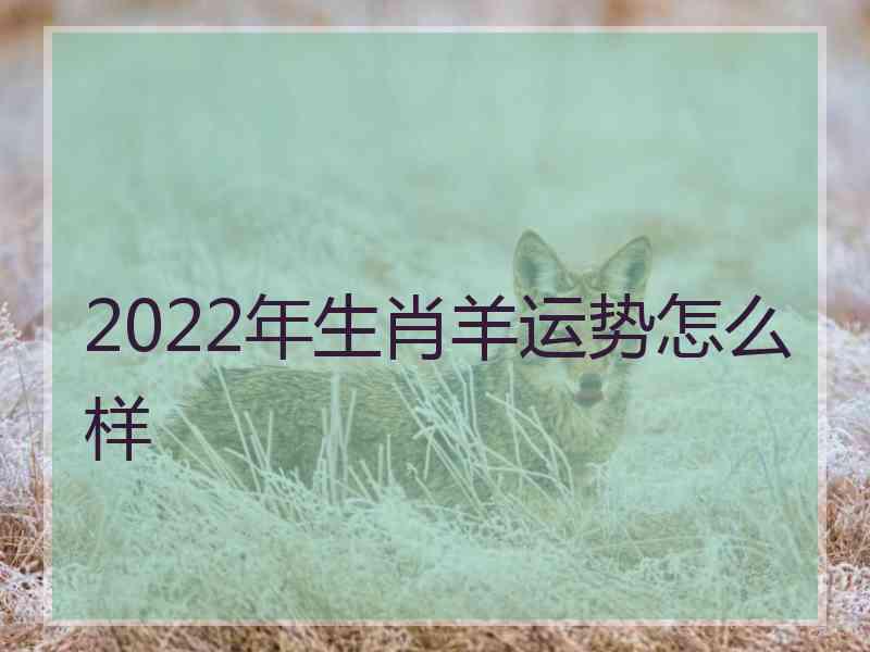 2022年生肖羊运势怎么样