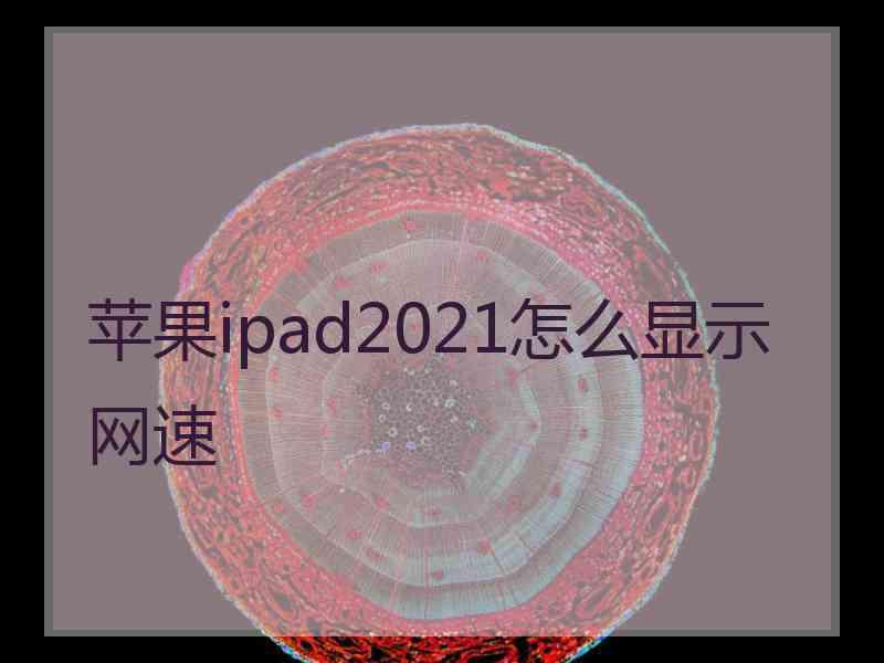 苹果ipad2021怎么显示网速