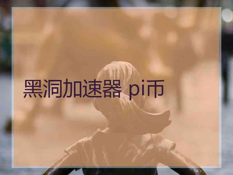 黑洞加速器 pi币