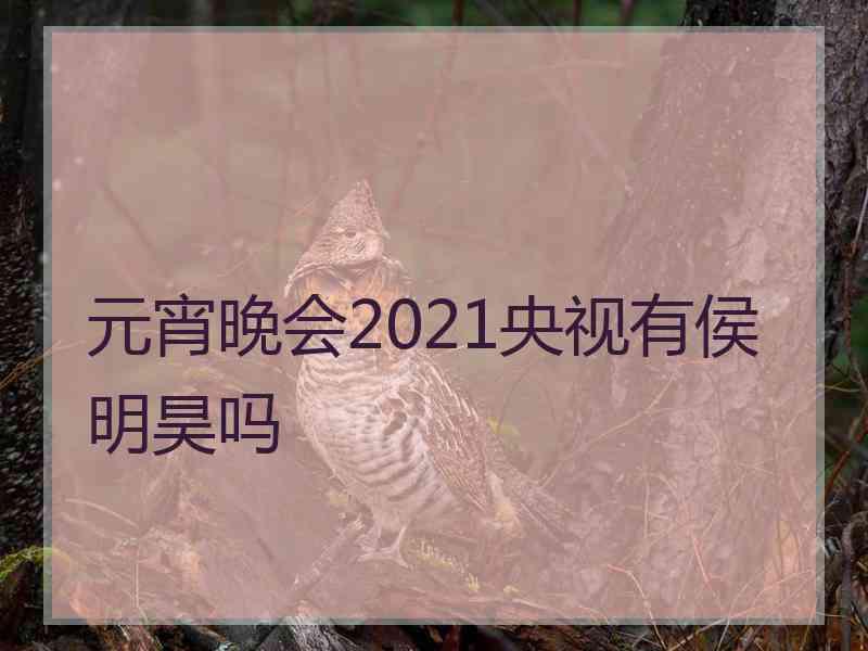 元宵晚会2021央视有侯明昊吗